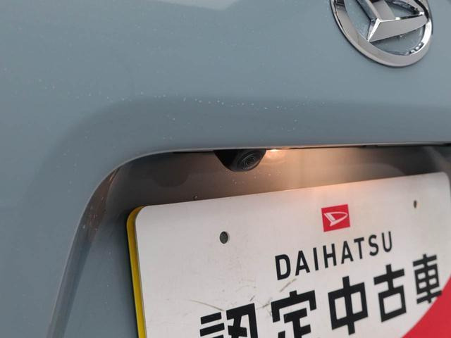 タントファンクロス