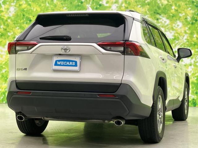 RAV42.0 X