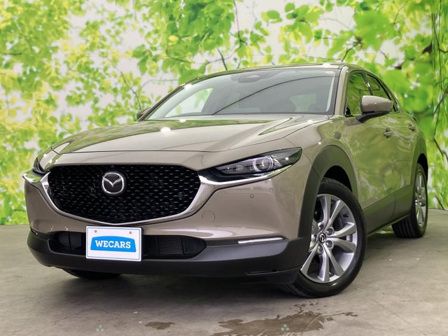 CX-302.0 20S プロアクティブ