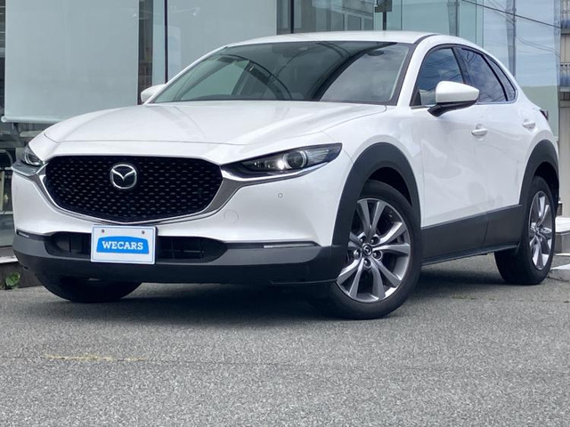 CX-301.8 XD プロアクティブ