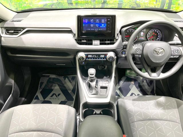 RAV42.0 X