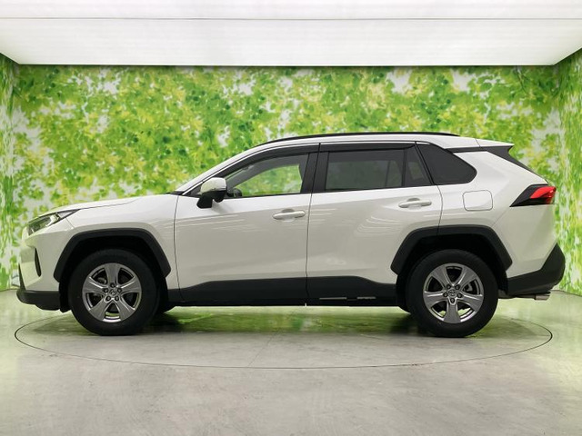 RAV42.0 X