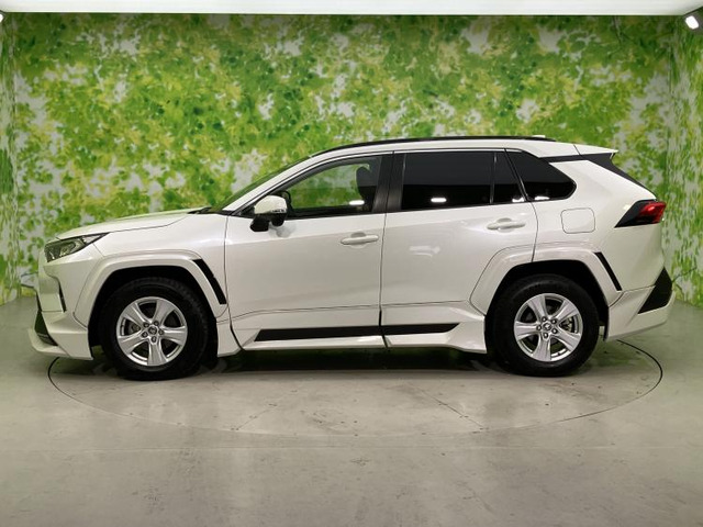 RAV42.0 X