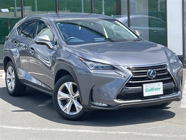 NX300h バージョンL