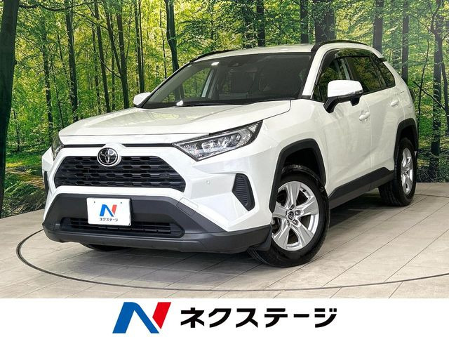 RAV42.0 X