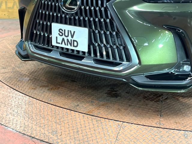 NX350h バージョンL