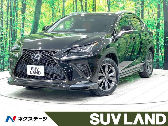 NX300h Fスポーツ