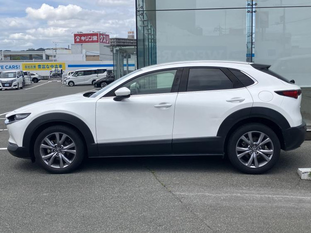 CX-301.8 XD プロアクティブ