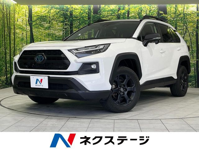 RAV42.5 ハイブリッド アドベンチャー オフロードパッケージ II E-Four 4WD