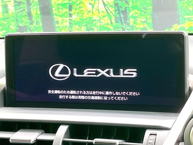 NX300h Iパッケージ