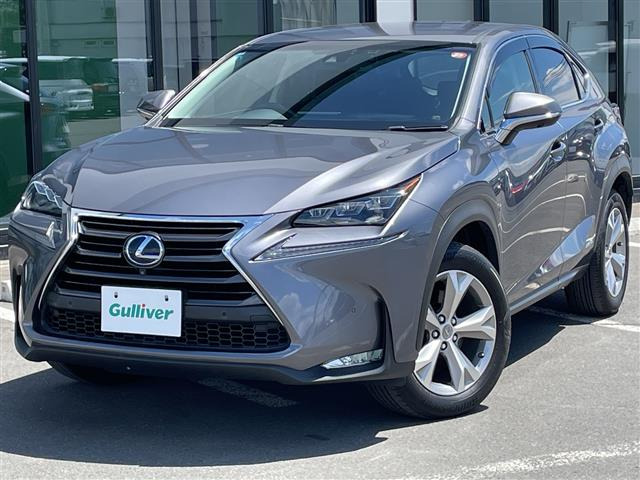 NX300h バージョンL
