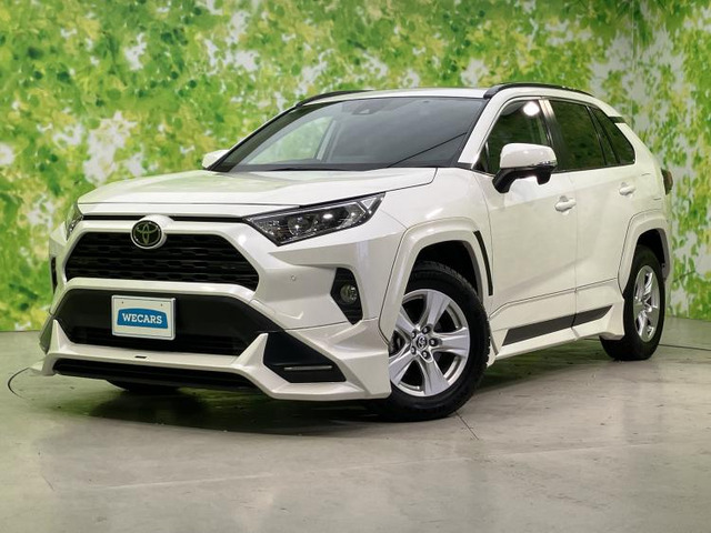 RAV42.0 X