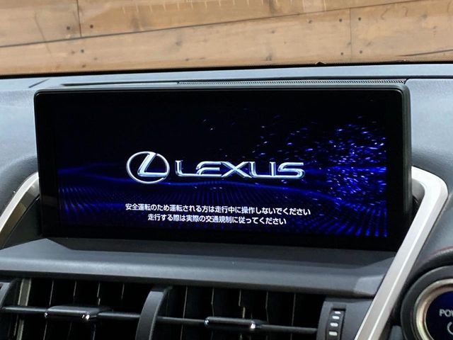 NX300h Fスポーツ