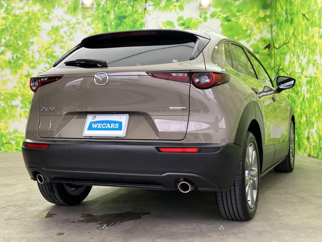 CX-302.0 20S プロアクティブ