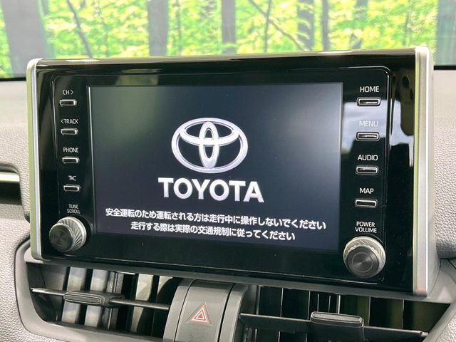 RAV42.0 X