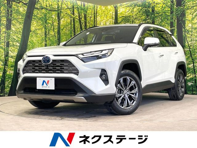 RAV42.5 ハイブリッド G E-Four 4WD
