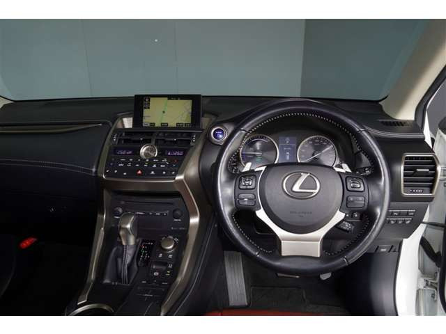 NX300h バージョンL
