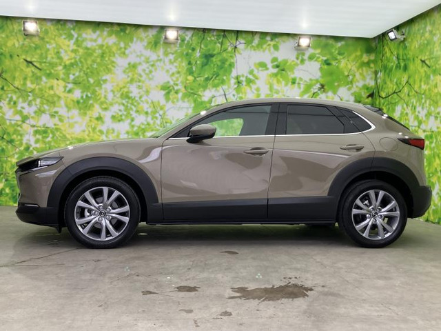 CX-302.0 20S プロアクティブ