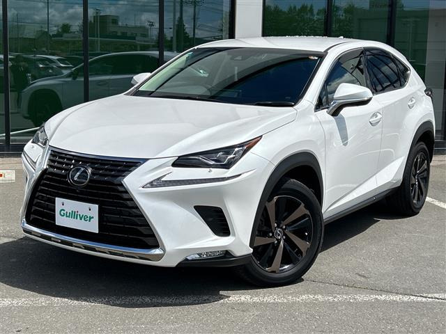 NX300 バージョンL 4WD