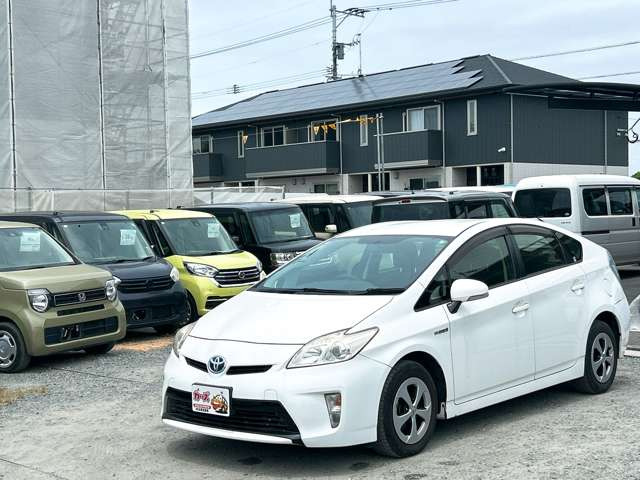 �y39.8���X�J�[�Y�̎��q���������������A���ɂ��肪�Ƃ��������܂��B���������S�s���c1186-7TEL:0942-73-6060�܂ł��⍇����������