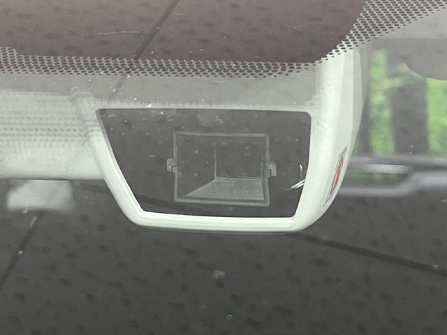 XV