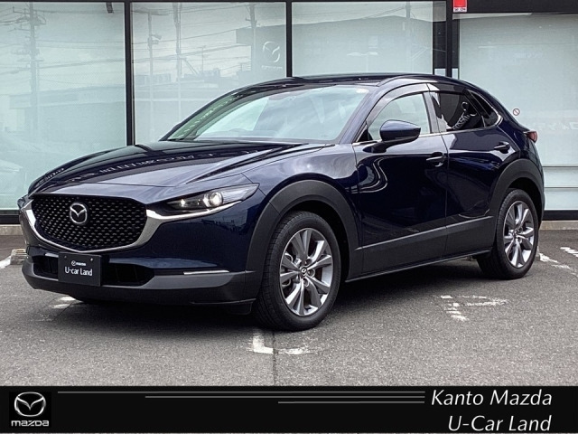 CX-301.8 XD Lパッケージ