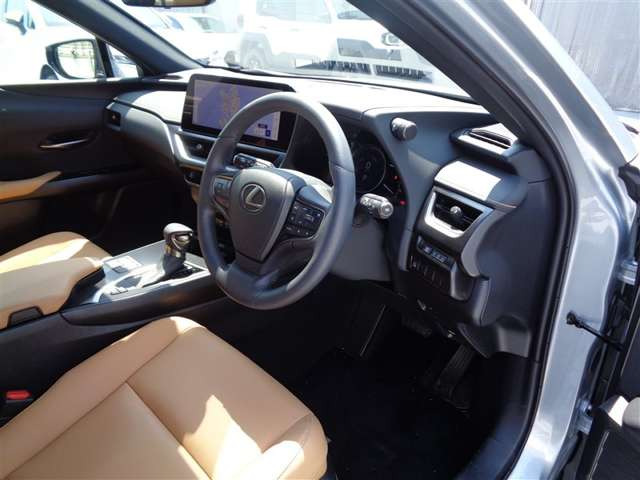 UX250h バージョンC
