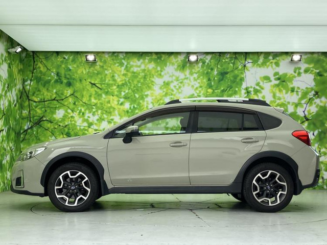 XV