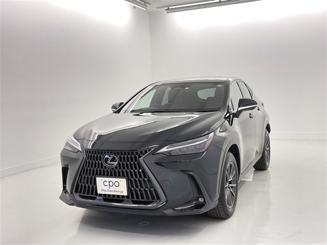 NX