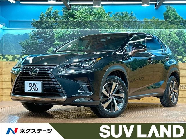 NX200t Iパッケージ