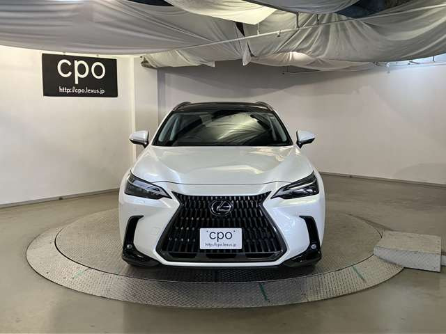 NX250 バージョンL 4WD