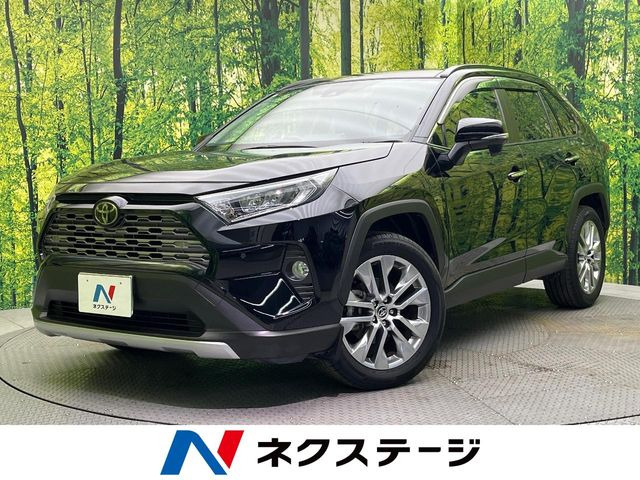 RAV42.0 G Zパッケージ 4WD