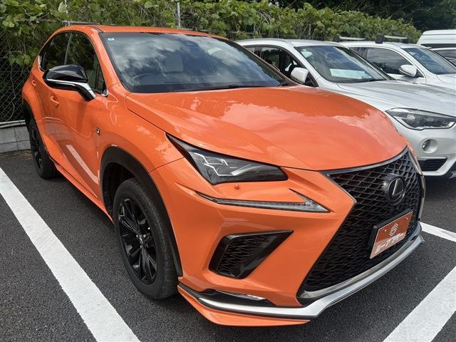 NX300h Fスポーツ