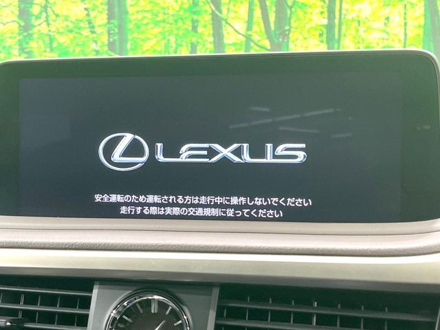 RX300 バージョンL