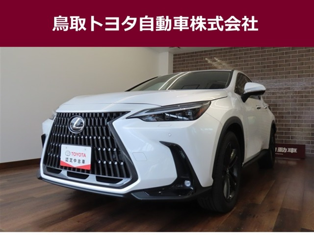 NX250 バージョンL