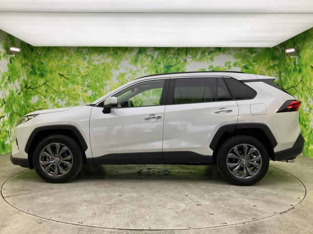 RAV42.0 G 4WD