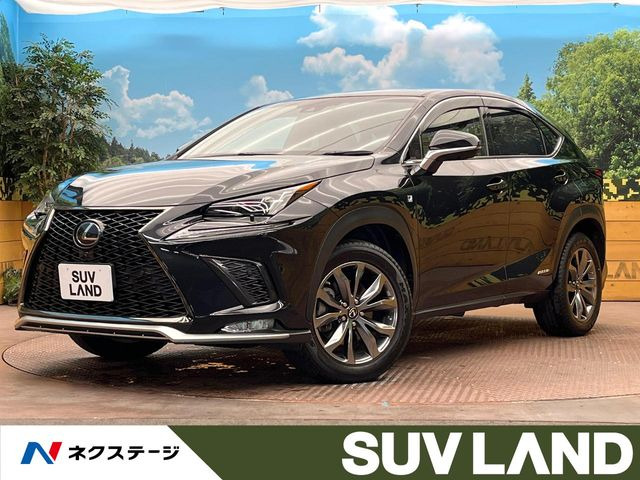NX300h Fスポーツ