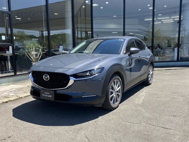 CX-301.8 XD プロアクティブ ツーリングセレクション 4WD