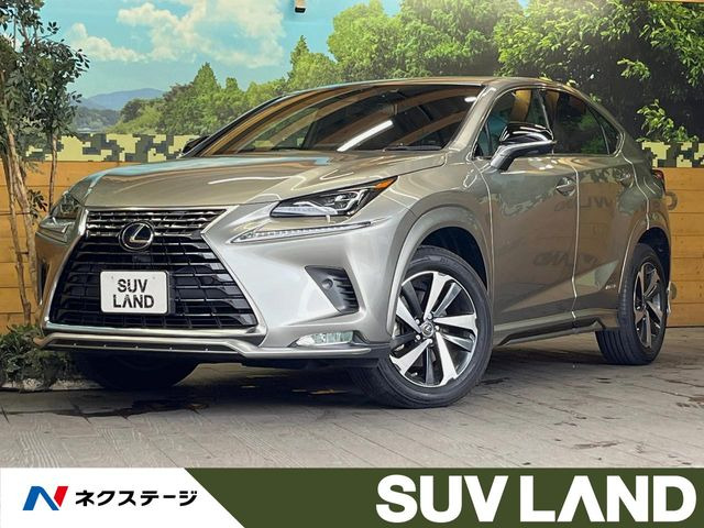 NX300h スパイス&amp;シック