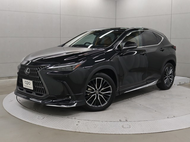 NX250 バージョンL
