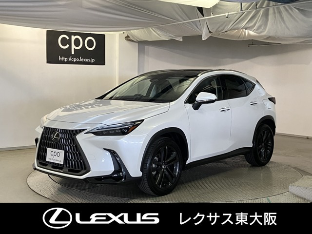 NX250 バージョンL 4WD