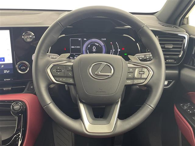 NX350h