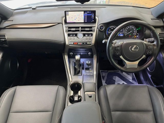 NX300h スパイス&amp;シック