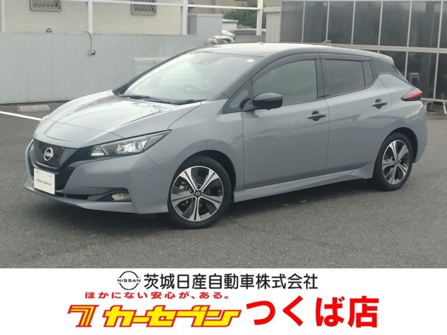 リーフG
