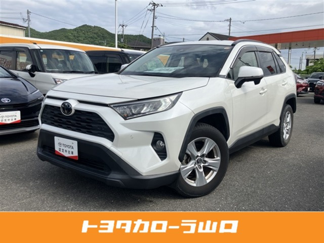 RAV42.0 X