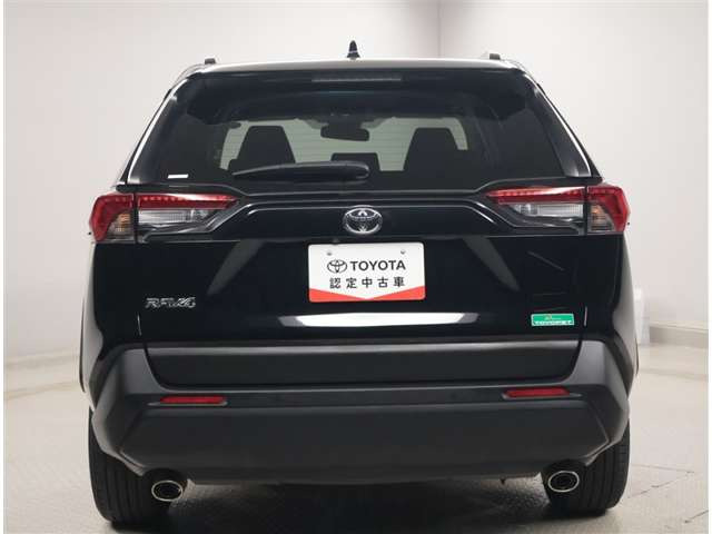 RAV42.0 X
