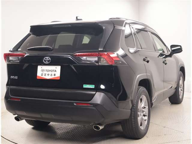 RAV42.0 X