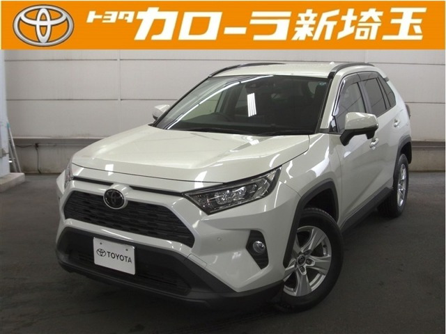 RAV42.0 X