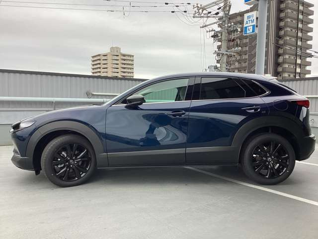 CX-301.8 XD ドライブ エディション