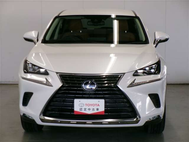 NX300h バージョンL